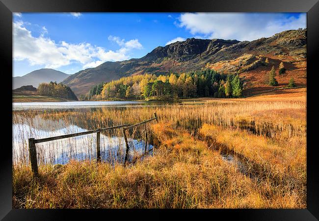 Autumn at Blea Tarn Framed Print by Andrew Ray
