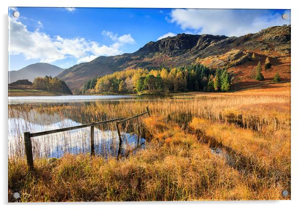 Autumn at Blea Tarn Acrylic by Andrew Ray