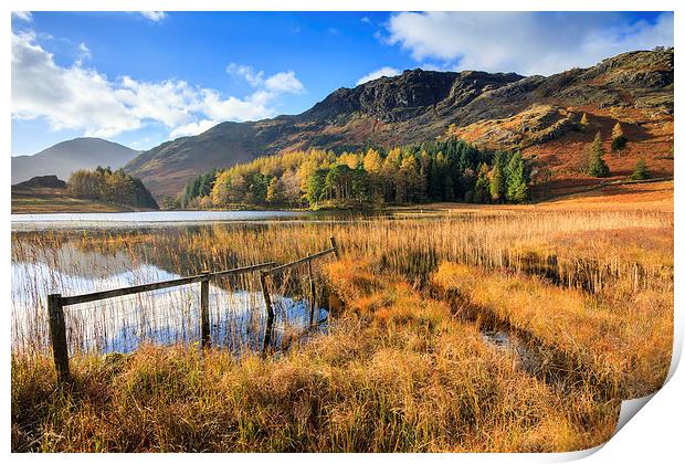 Autumn at Blea Tarn Print by Andrew Ray