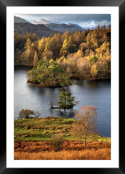 Tarn Hows  Framed Mounted Print by Andrew Ray