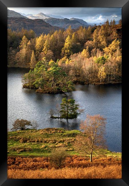 Tarn Hows  Framed Print by Andrew Ray