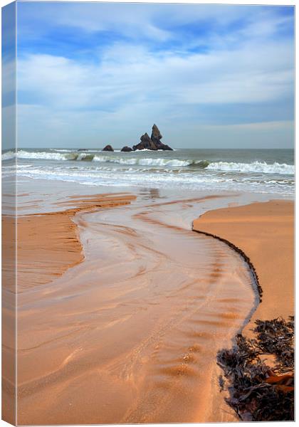Broad Haven Beach Canvas Print by Andrew Ray