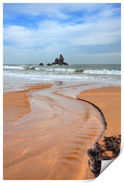 Broad Haven Beach Print by Andrew Ray