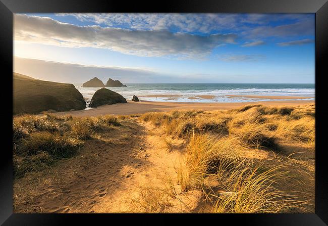 Evening Light (Holywell Bay) Framed Print by Andrew Ray