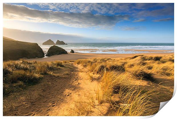 Evening Light (Holywell Bay) Print by Andrew Ray