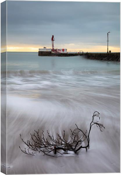Strom Debris (Looe)  Canvas Print by Andrew Ray