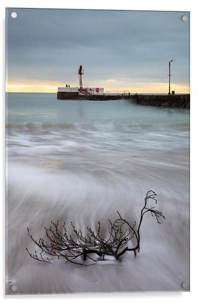 Strom Debris (Looe)  Acrylic by Andrew Ray