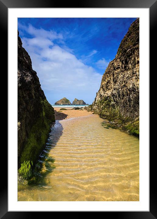 The Gully (Holywell Bay)  Framed Mounted Print by Andrew Ray