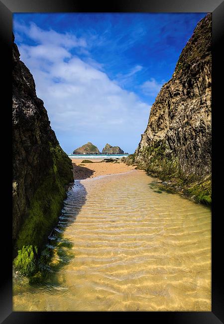 The Gully (Holywell Bay)  Framed Print by Andrew Ray