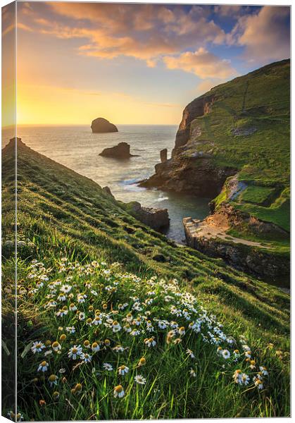 Backways Cove (Trebarwith Strand) Canvas Print by Andrew Ray