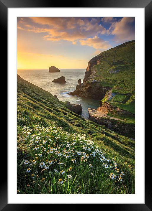 Backways Cove (Trebarwith Strand) Framed Mounted Print by Andrew Ray