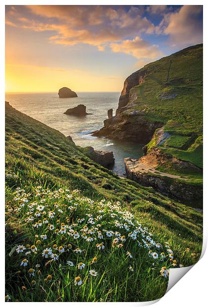 Backways Cove (Trebarwith Strand) Print by Andrew Ray