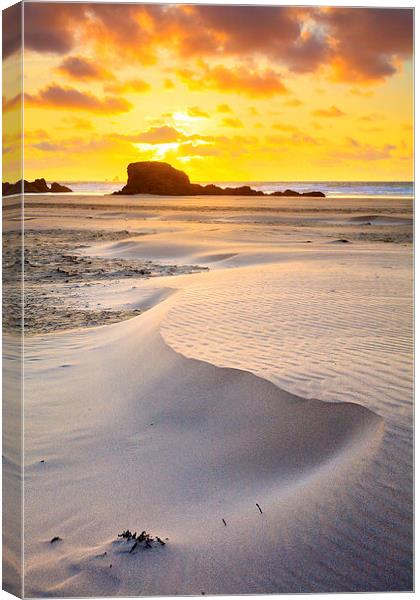 Dunes on the Beach (Perranporth) Canvas Print by Andrew Ray