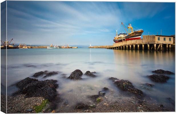 Newlyn View Canvas Print by Andrew Ray