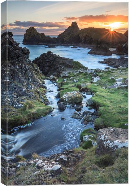 Setting Sun at Kynance Cove Canvas Print by Andrew Ray