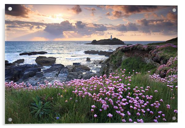 Thrift at Sunset (Godrevy) Acrylic by Andrew Ray