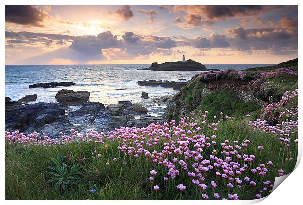 Thrift at Sunset (Godrevy) Print by Andrew Ray
