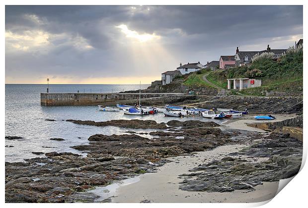 Towards Porthscatho Harbour Print by Andrew Ray