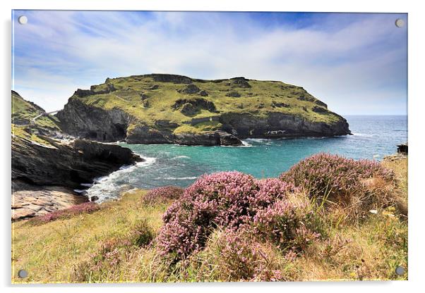 Heather on Barras Nose (Tintagel) Acrylic by Andrew Ray