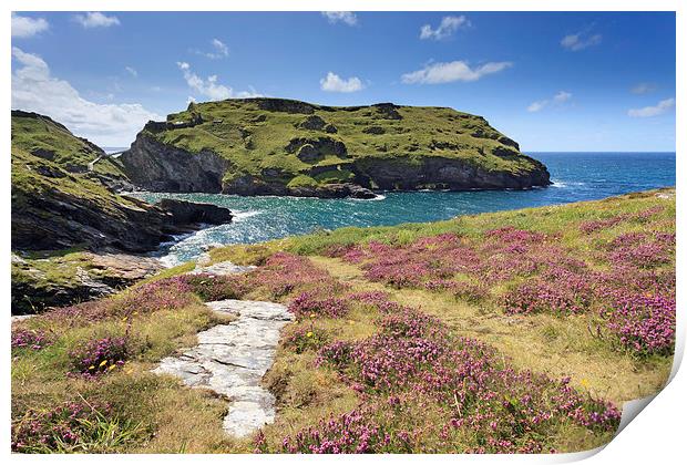 Towards Tintagel Castle Print by Andrew Ray