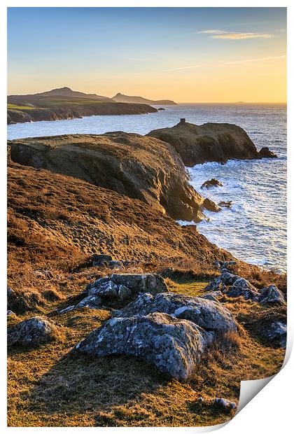 Pembrokeshire Coast  Print by Andrew Ray