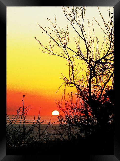 Sunset through the Branches and Buds  Framed Print by james balzano, jr.
