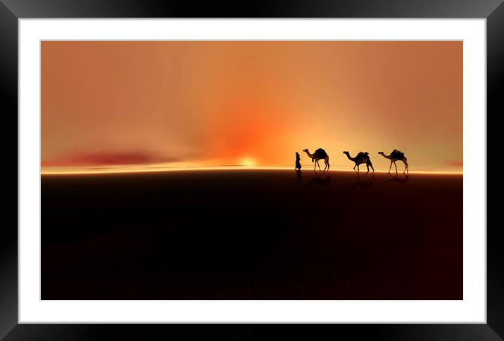 Desert mirage Framed Mounted Print by Valerie Anne Kelly