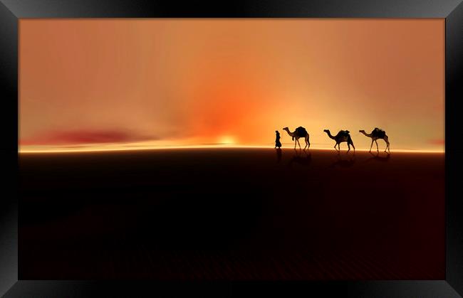 Desert mirage Framed Print by Valerie Anne Kelly