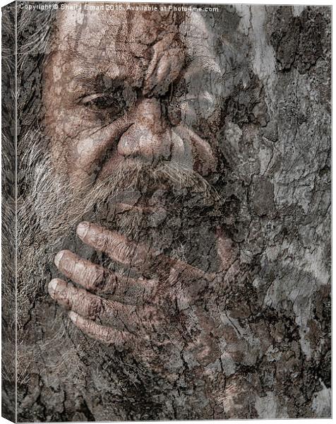 Aboriginal Australian with gum tree textured backg Canvas Print by Sheila Smart