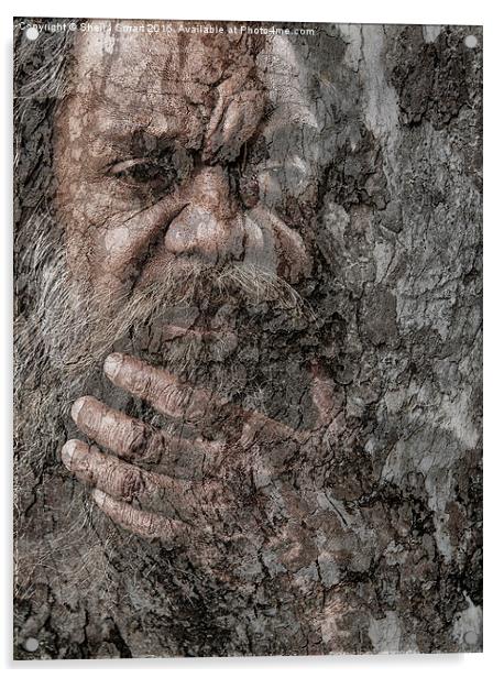 Aboriginal Australian with gum tree textured backg Acrylic by Sheila Smart