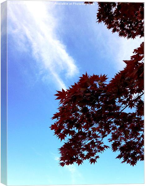 Autumn Leaves & The Clouds Canvas Print by Jeanne Ong