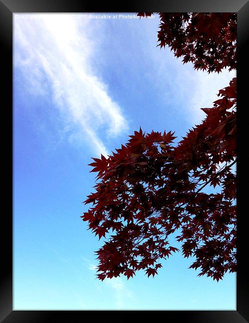 Autumn Leaves & The Clouds Framed Print by Jeanne Ong