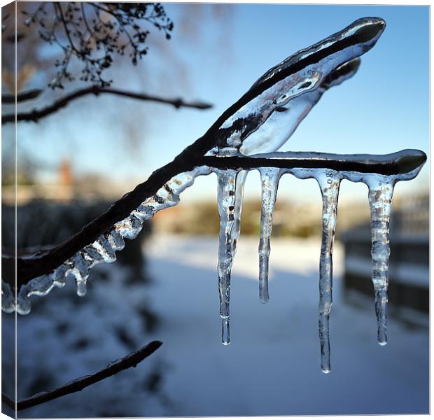 Icicles Canvas Print by Stephen Mole