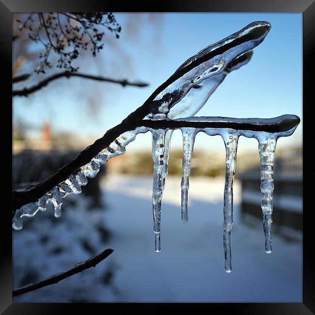 Icicles Framed Print by Stephen Mole