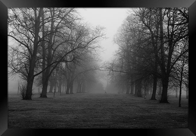 Foggy Walk Framed Print by Dave Windsor