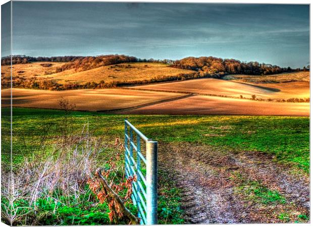  The North Downs Canvas Print by Kim Slater