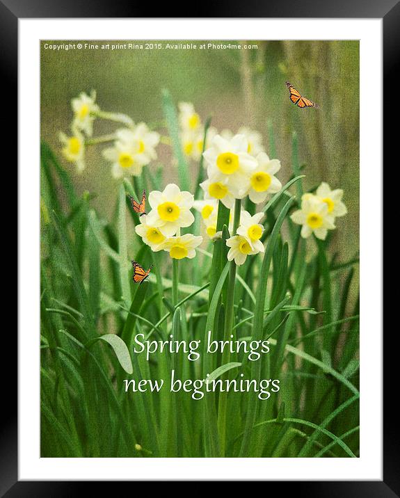  Spring brings new beginnings Framed Mounted Print by Fine art by Rina