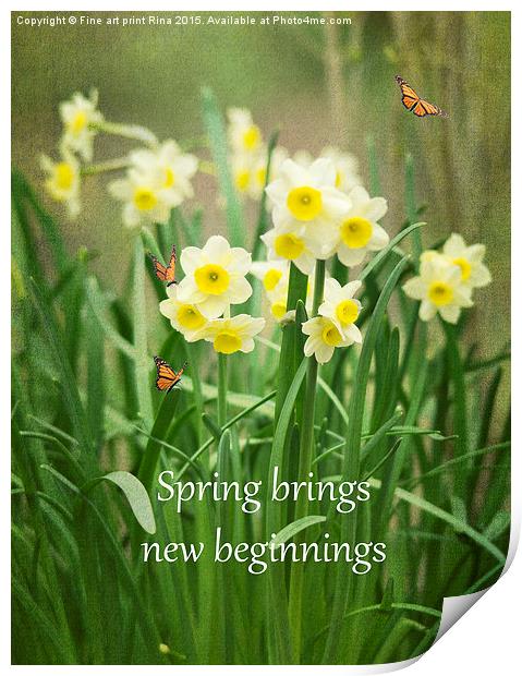  Spring brings new beginnings Print by Fine art by Rina