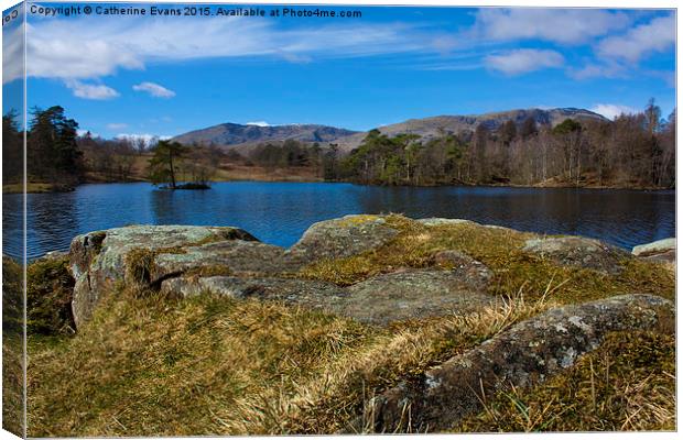  Tarn Hows Canvas Print by Catherine Fowler