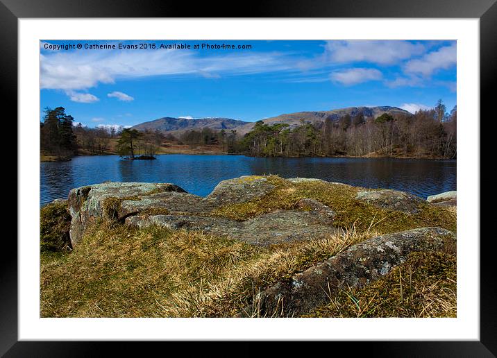  Tarn Hows Framed Mounted Print by Catherine Fowler
