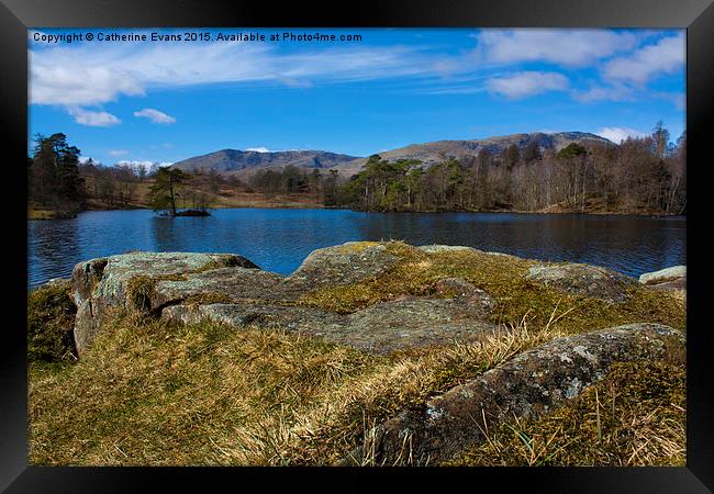  Tarn Hows Framed Print by Catherine Fowler