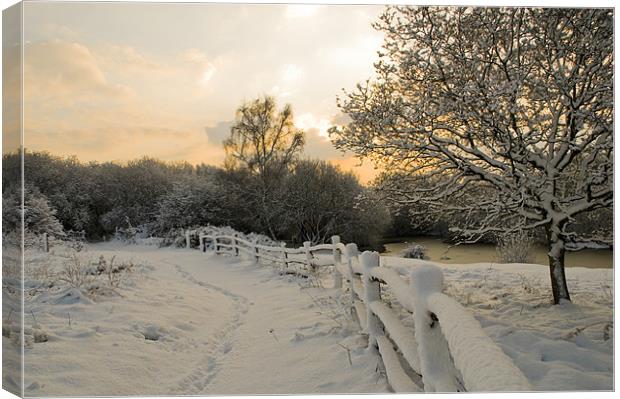 Ditchling common in snow at sunrise Canvas Print by Eddie Howland