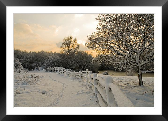 Ditchling common in snow at sunrise Framed Mounted Print by Eddie Howland