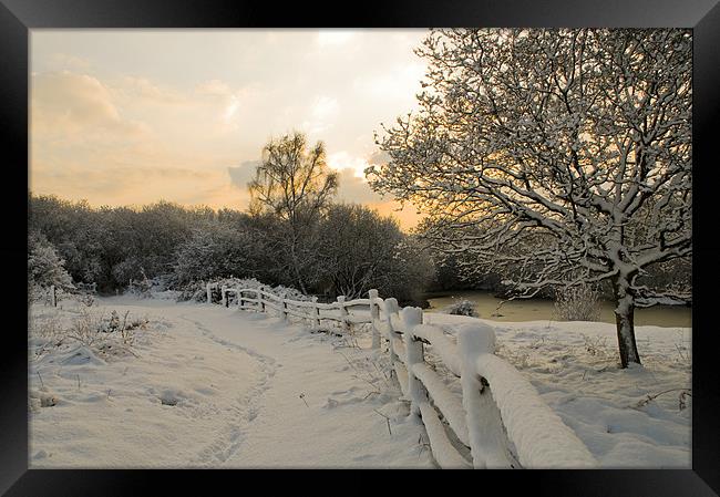 Ditchling common in snow at sunrise Framed Print by Eddie Howland