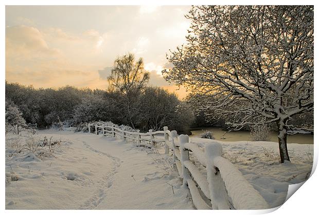 Ditchling common in snow at sunrise Print by Eddie Howland