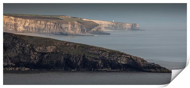  South Glamorgan Heritage coast Print by Leighton Collins