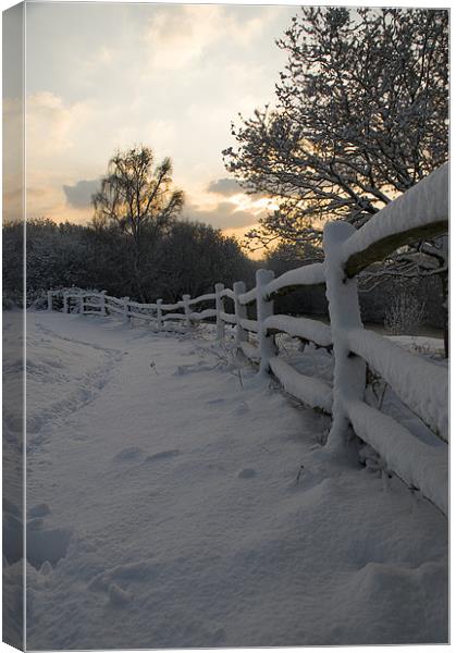Sunrise at Ditchling Common in the snow Canvas Print by Eddie Howland