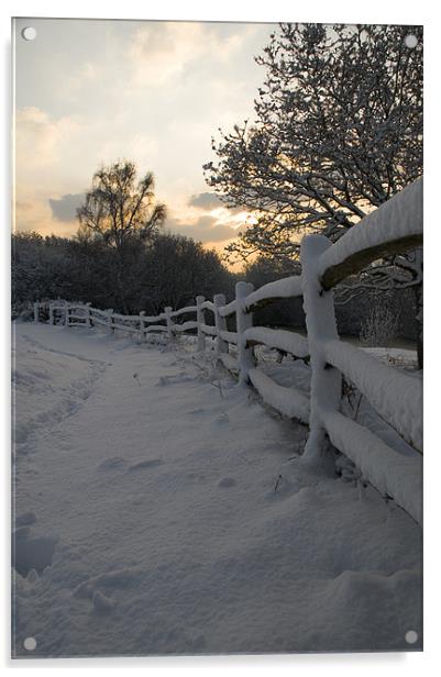 Sunrise at Ditchling Common in the snow Acrylic by Eddie Howland