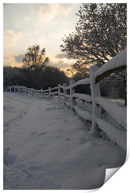 Sunrise at Ditchling Common in the snow Print by Eddie Howland