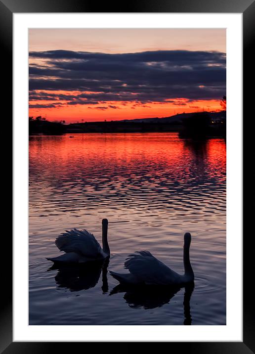 Watching the Sun go down.  Framed Mounted Print by Becky Dix